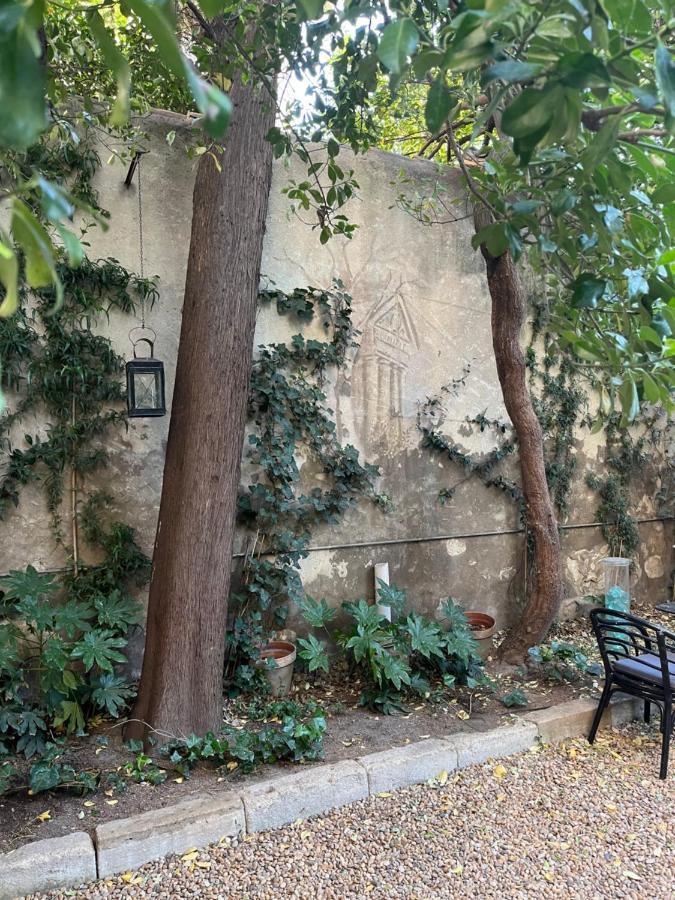 Face Au Palais Bed & Breakfast Avinyon Dış mekan fotoğraf