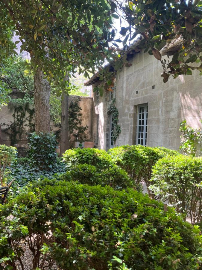 Face Au Palais Bed & Breakfast Avinyon Dış mekan fotoğraf