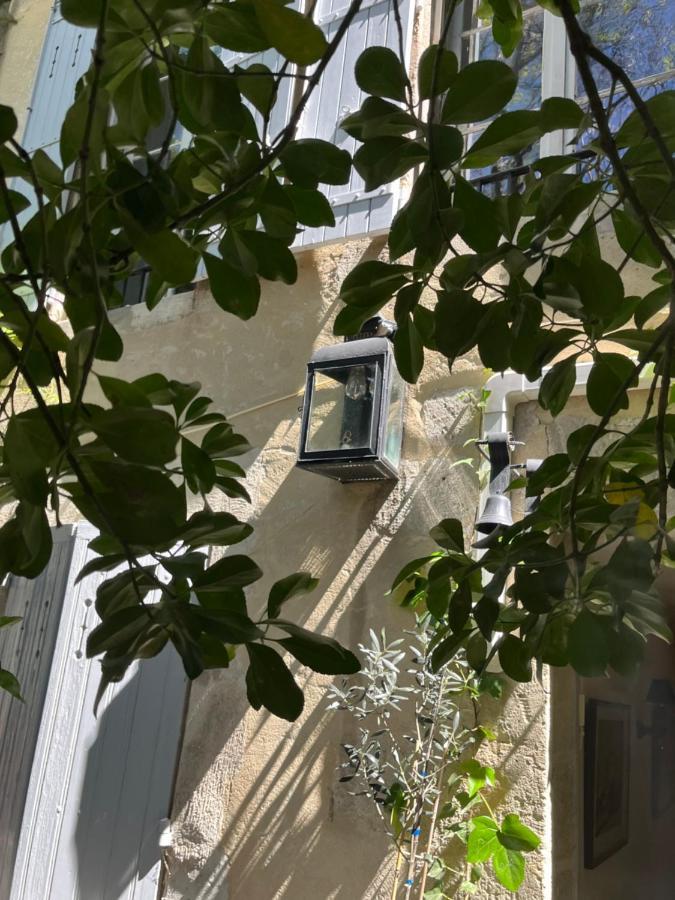 Face Au Palais Bed & Breakfast Avinyon Dış mekan fotoğraf
